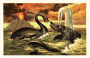 Plesiosaurus: Plesiosaurus and Ichthyosaurus battling in front