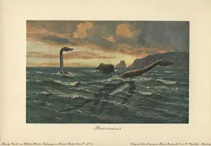 Sauropterygian: Plesiosaurus, large marine sauropterygian reptile