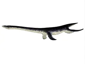Loch: Plesiosaurus reptile, side profile