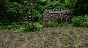 Plantation: Plimoth Plantation or Historical Museum. Hut. Plymouth. Mass