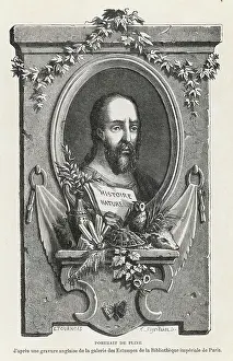 Plinius: Pliny the elder