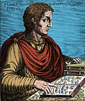 Pliny: Pliny the Elder, Ancient Roman Naturalist