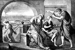 Plinius: Pliny the Elder, Gaius Plinius Secundus, 23 -