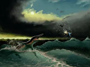 Rippled: Pliosaurus irgisensis attacking a shark