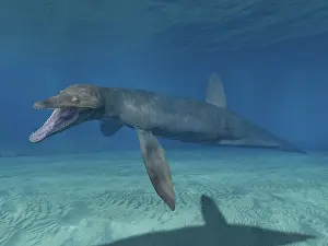 Pliosaurus: Pliosaurus kevani, Late Jurassic of England