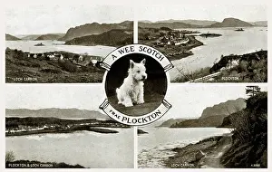Frae: Plockton and Loch Carron