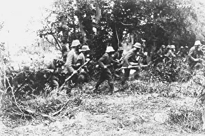 Penetrating: Ploegsteert Wood WWI