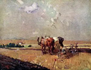 Beckwith: The Plough