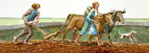 Arable: Ploughing