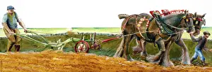 Arable: Ploughing