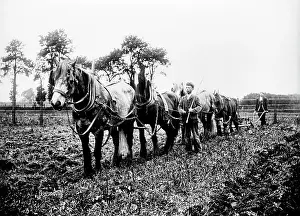Arable: Ploughing