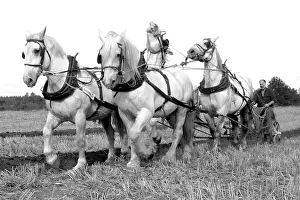 Chevis: Ploughing