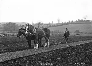 Ploughing: Ploughing