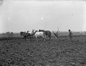 Boswell: Ploughing Boswell