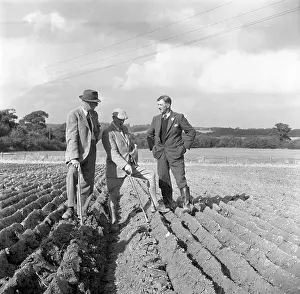 Snodgrass: PLOUGHING CONTEST 1950S