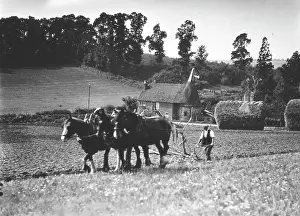 Farningham: Ploughing field 1930s