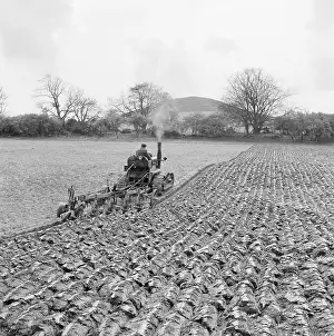 Ellesborough: Ploughing Field
