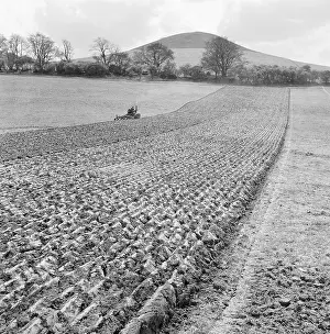 Ellesborough: Ploughing Field