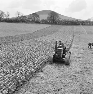 Ellesborough: Ploughing Field