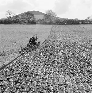 Ellesborough: Ploughing Field
