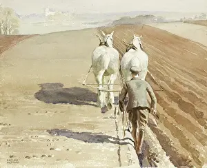 Furrows: Ploughing a field