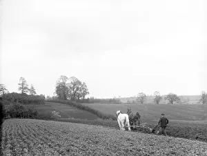 Furrows: PLOUGHING FIELDS