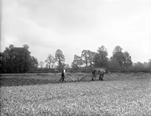 Furrows: PLOUGHING FIELDS