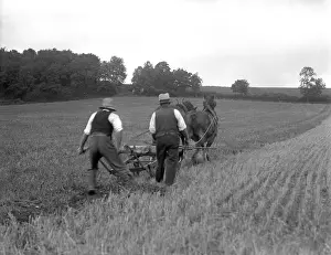 Furrows: PLOUGHING FIELDS