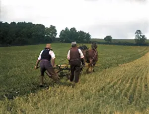 Furrows: PLOUGHING FIELDS