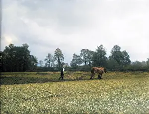 Furrows: PLOUGHING FIELDS
