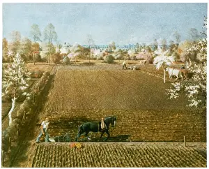 Weimar Archive: PLOUGHING, GERMANY