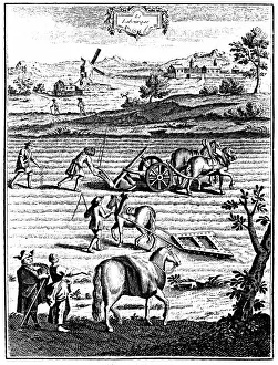 1762: Ploughing and harrowing with horses and sowing