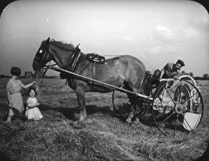 Town & Country Planning: PLOUGHING WITH HORSE