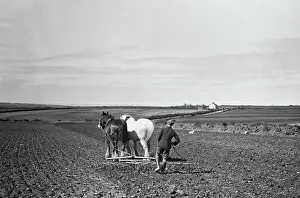 Ploughed: Ploughing with horses