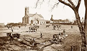 Ploughing match