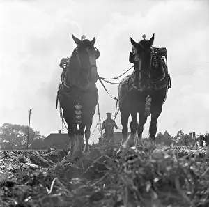Ploughs: Ploughing Match, England