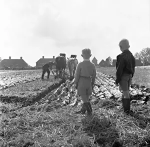 Henry Grant Collection: Ploughing Match, England