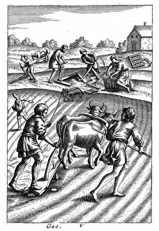 Husbandry: Ploughing with oxen, sowing seed broadcast and