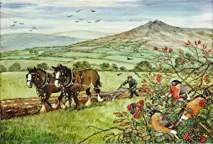 Brambles: Ploughing Scene with Bullfinches