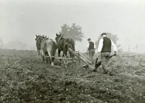 Broomfield: Ploughing on the Warren