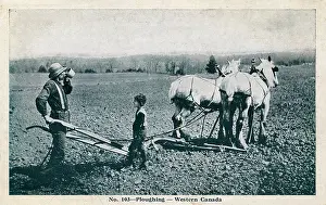 Ploughs: Ploughing in Western Canada - Farmer and son take a break