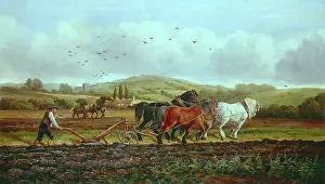 Ploughman: The Ploughman ' farming scene