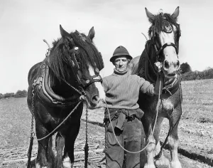 Brasses: Ploughman with two horses, Hayle, Cornwall