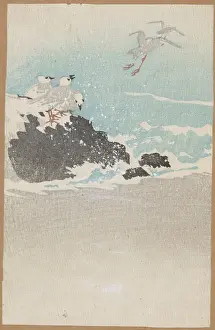 Plovers: Plovers over waves