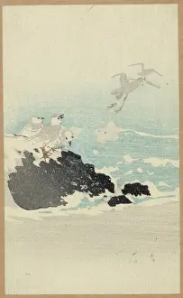 Plovers: Plovers over waves