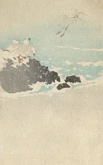 Plovers: Plovers over waves