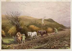 Plowing: PLOWING WITH HORSES