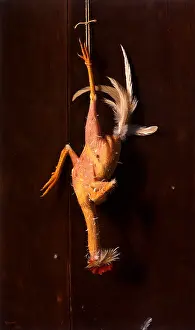 Plucked: Plucked Clean
