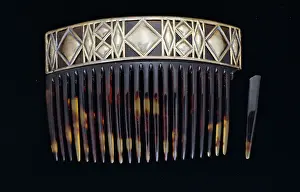 Werkstätte: Plug comb