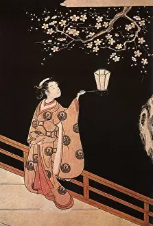 Plum: Plum Blossom Viewing at Night